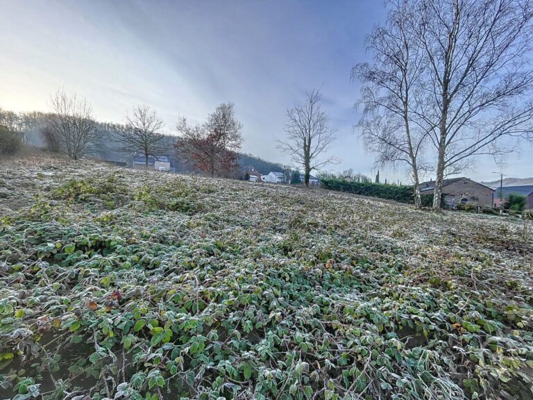 Condrogest - Terrain à lotir de 28 ares pour 4 lots à vendre