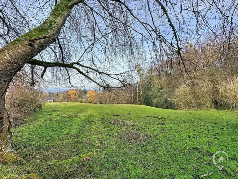 Condrogest - OPTION - Superbe terrain agricole de 95 ares 90 centiares