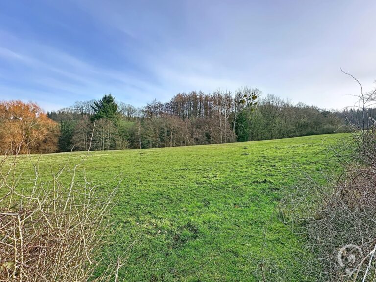 Condrogest - OPTION - Superbe terrain agricole de 95 ares 90 centiares