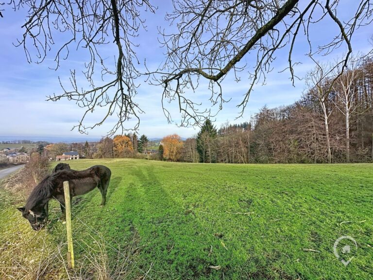 Condrogest - OPTION - Superbe terrain agricole de 95 ares 90 centiares