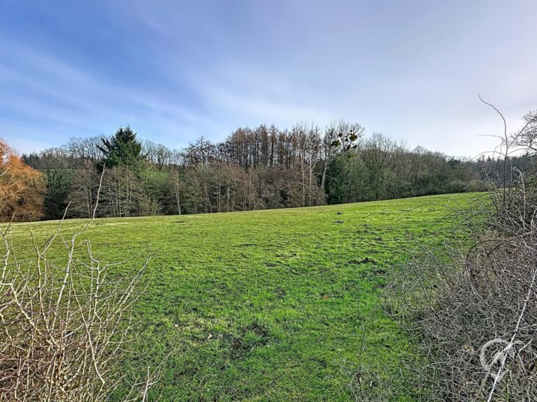 Condrogest - OPTION - Superbe terrain agricole de 95 ares 90 centiares