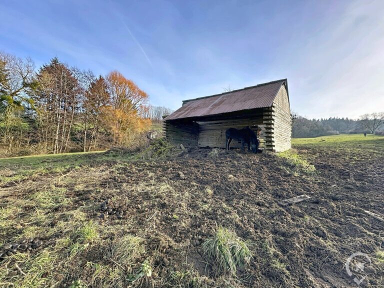 Condrogest - OPTION - Superbe terrain agricole de 95 ares 90 centiares