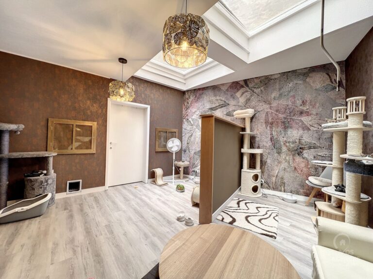 Condrogest - Belle surface commerciale à louer dans le centre de Namur