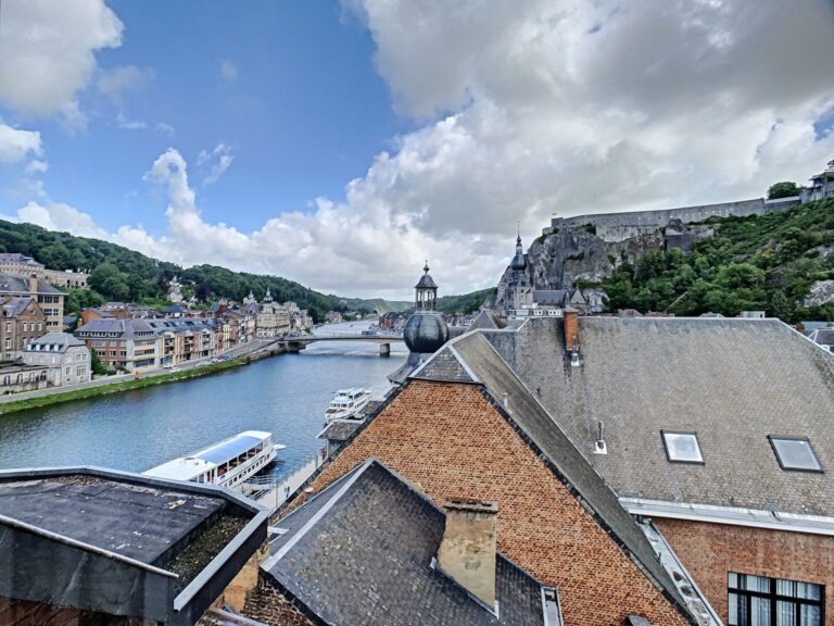 Condrogest - Studio à vendre au centre de Dinant