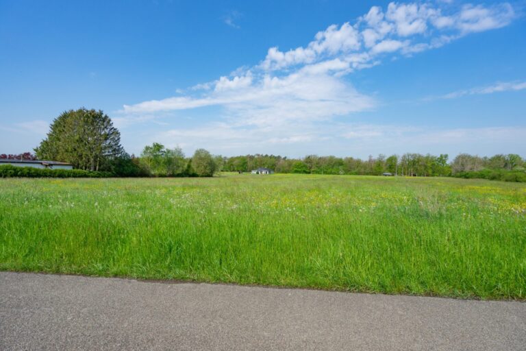 Condrogest - Superbe terrain à vendre à Erezée