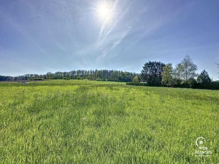 Condrogest - Superbe terrain à vendre à Erezée