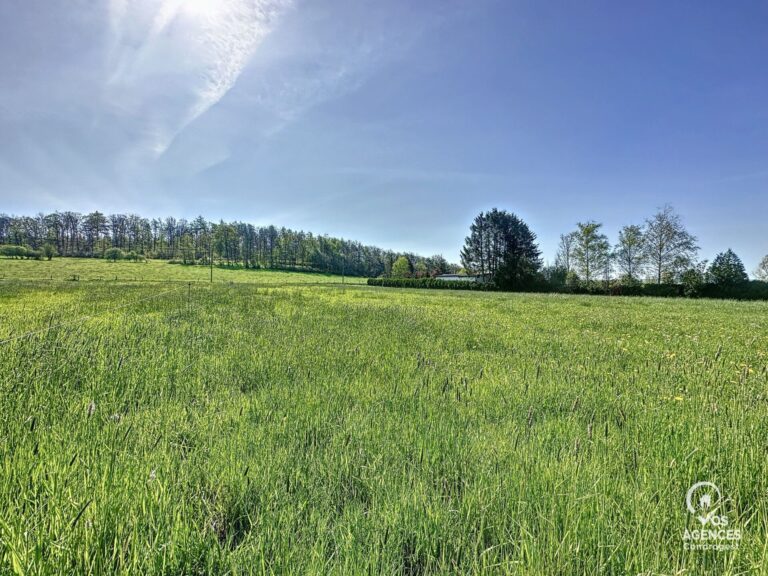 Condrogest - Superbe terrain à vendre à Erezée