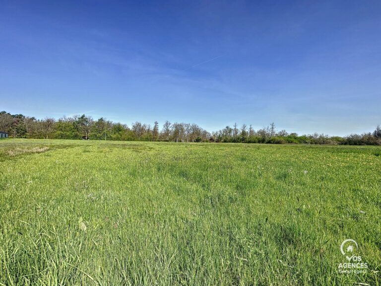 Condrogest - Superbe terrain à vendre à Erezée