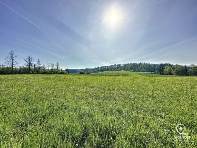 Condrogest - Superbe terrain à vendre à Erezée