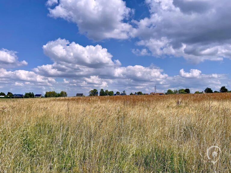 Condrogest - Magnifique terrain de 18,92 ares à vendre à la Sarte