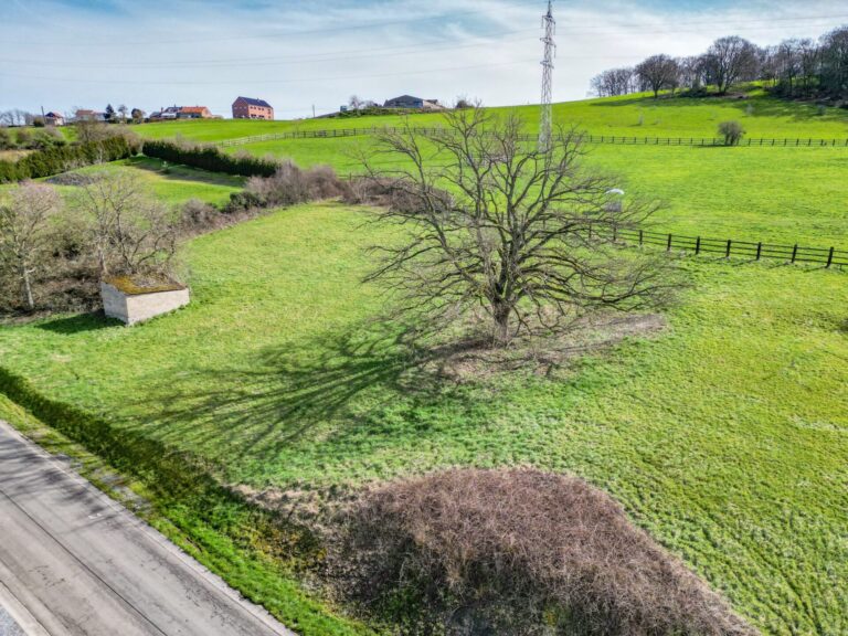 Condrogest - Magnifique parcelle de 10 ares à vendre à Gives - Huy