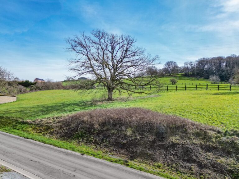 Condrogest - Belle parcelle de 10 ares à vendre à Gives - Huy