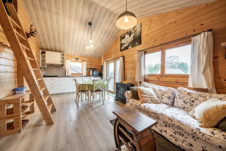 Condrogest - Chalet 1 chambre à vendre à Hastière