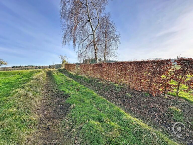 Condrogest - OPTION - Superbe terrain agricole de 70 ares à vendre