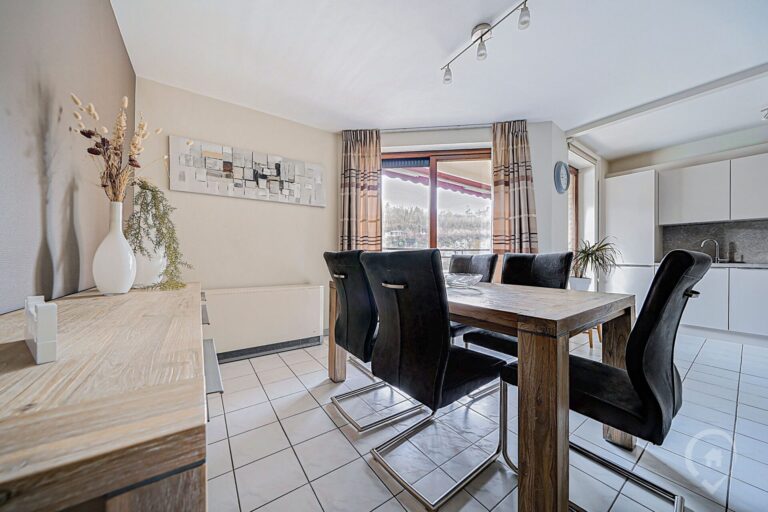 Condrogest - Appartement 2 chambres bord de Meuse à Dinant