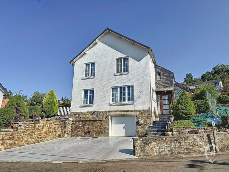 Condrogest - Villa 4 chambres à vendre à Yvoir