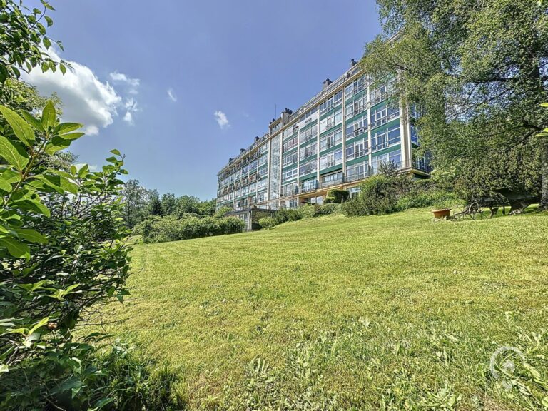 Condrogest - SOUS OPTION !!! Appartement rénové à vendre à Nassogne, vue sur la nature