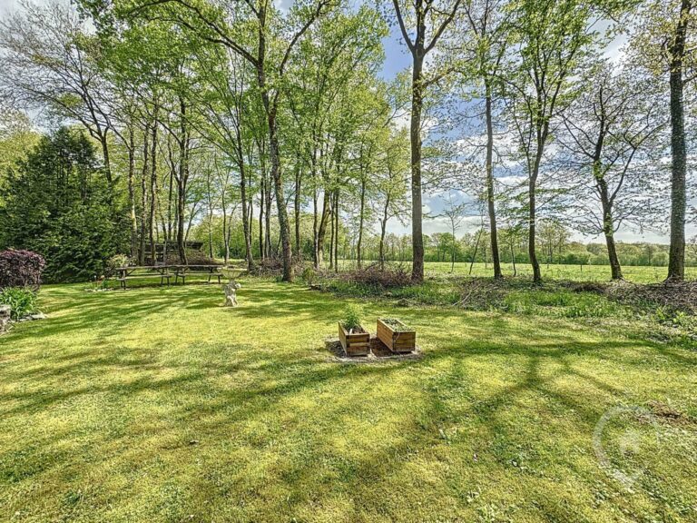 Condrogest - Appartement entièrement rénové 1 chambre à louer à Bomal