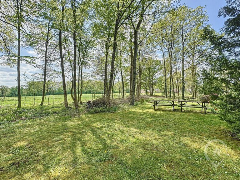 Condrogest - Appartement entièrement rénové 1 chambre à louer à Bomal