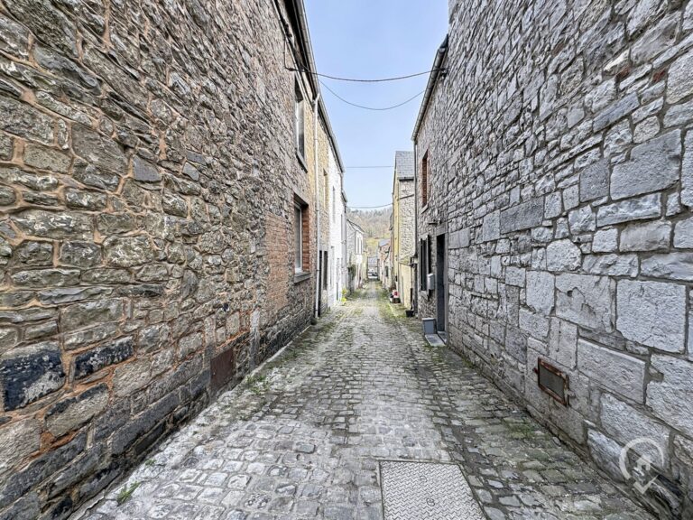 Condrogest - Maison avec terrasse et garage à vendre à Bouvignes
