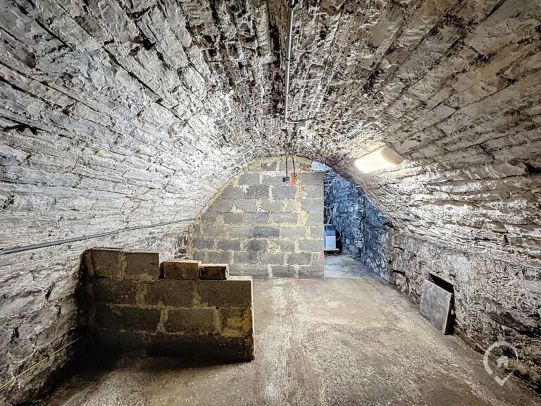 Condrogest - Maison avec terrasse et garage à vendre à Bouvignes