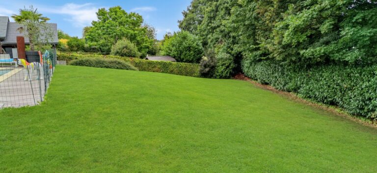 Condrogest - Magnifique maison avec studio aménagé et piscine
