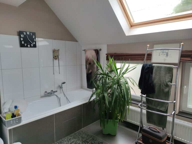 Condrogest - Magnifique maison avec studio aménagé et piscine