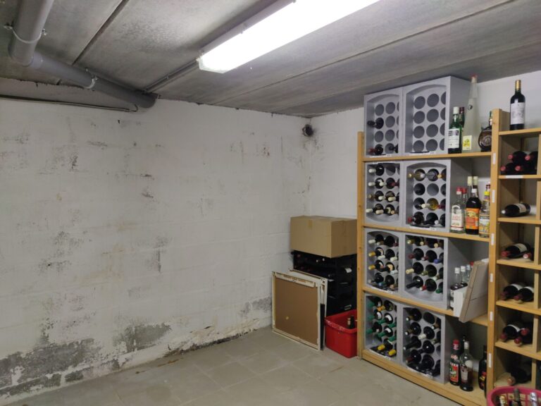 Condrogest - Magnifique maison avec studio aménagé et piscine