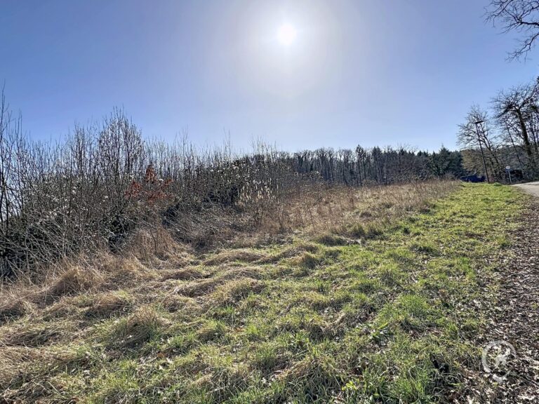 Condrogest - Terrain à bâtir de 12 ares à Anseremme
