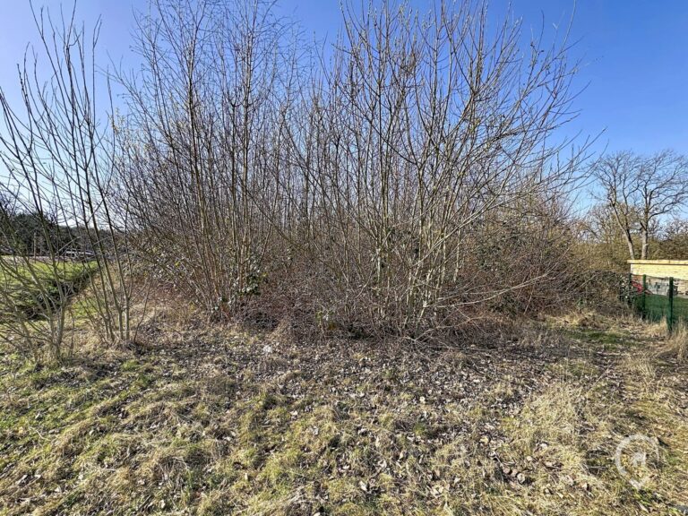 Condrogest - Terrain à bâtir de 12 ares à Anseremme