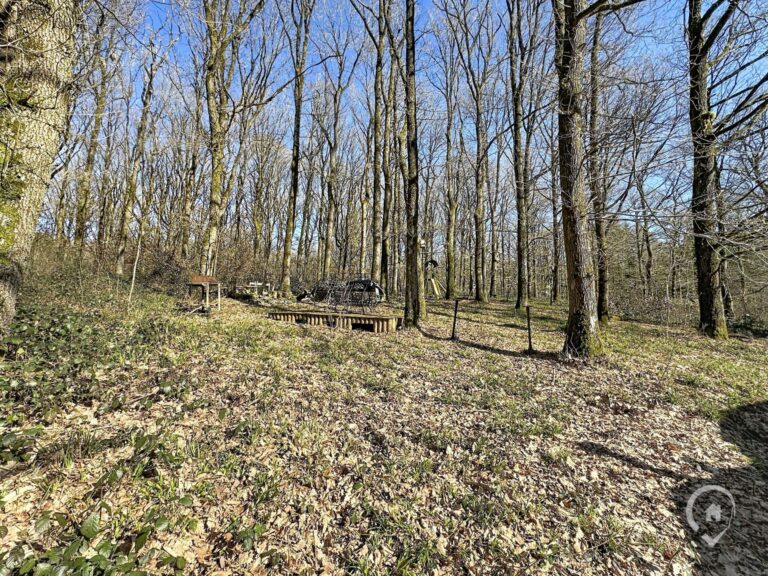 Condrogest - Chalet sur 42 ares à vendre dans les bois d'Annevoie