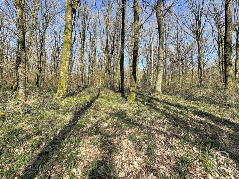 Condrogest - Chalet sur 42 ares à vendre dans les bois d'Annevoie