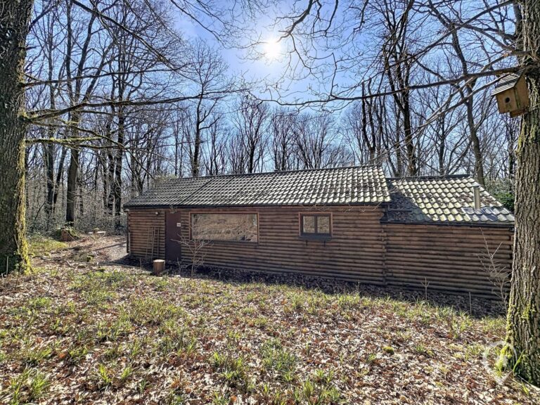 Condrogest - Chalet sur 42 ares à vendre dans les bois d'Annevoie
