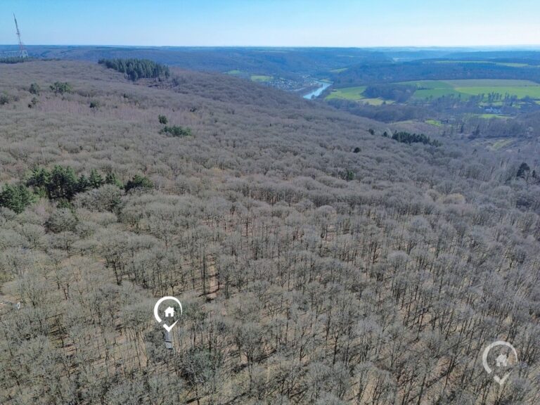 Condrogest - Chalet sur 42 ares à vendre dans les bois d'Annevoie