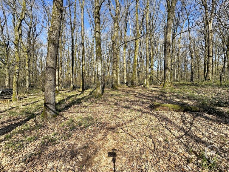 Condrogest - Chalet sur 42 ares à vendre dans les bois d'Annevoie