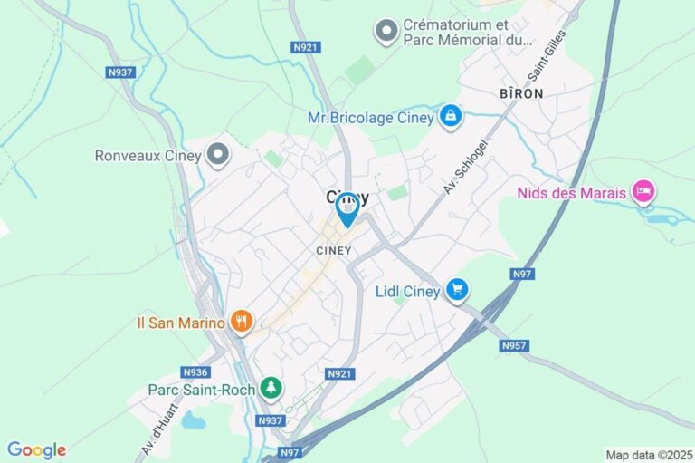 Condrogest - Appartement avec commerce au rez à vendre à Ciney