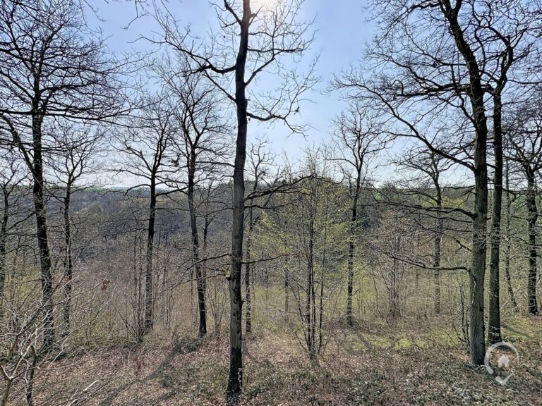 Condrogest - Bungalow 2 chambres au domaine de Bonsoy à vendre