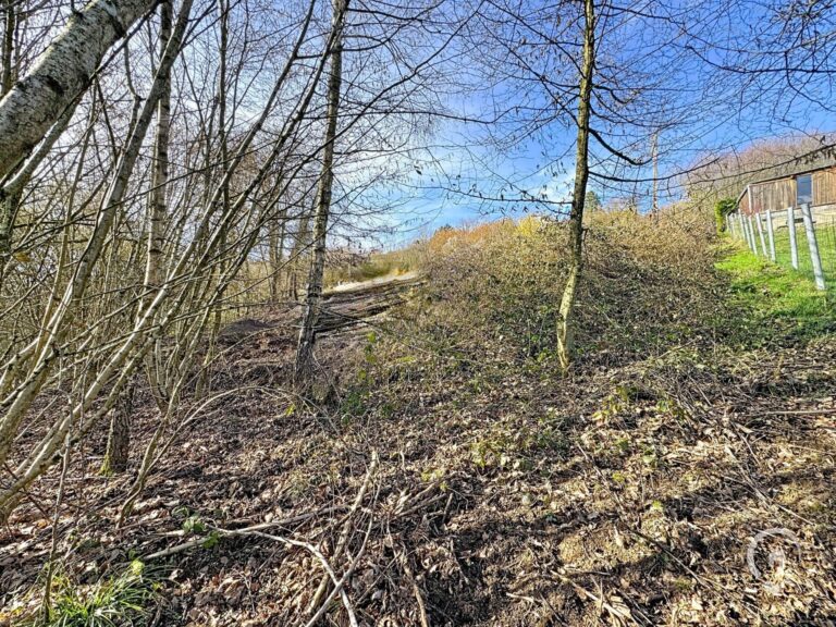 Condrogest - Terrain à vendre en zone de loisirs, à Hastière