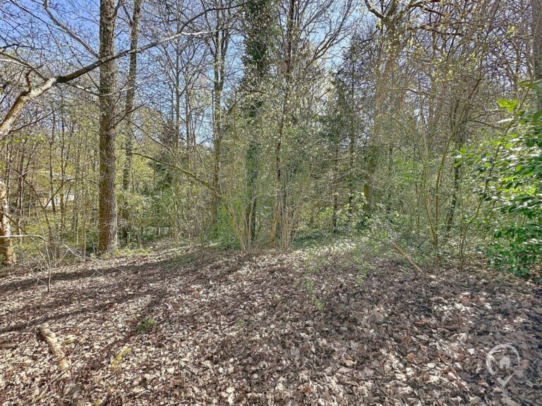 Condrogest - Superbe chalet 3 chambres à vendre à proximité de Durbuy