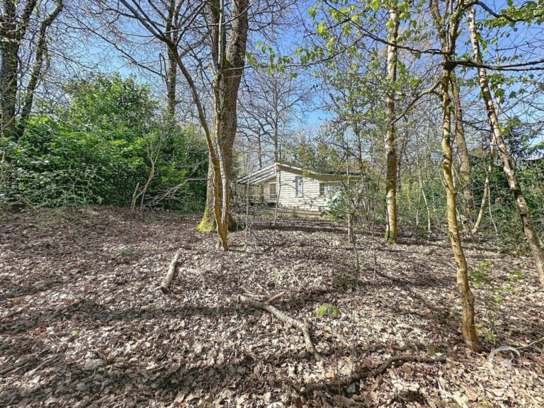 Condrogest - Superbe chalet 3 chambres à vendre à proximité de Durbuy