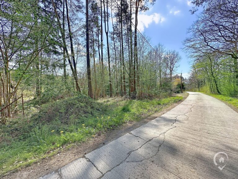 Condrogest - Terrain de 1.695 m² pour chalet / investissement locatif – Erezée