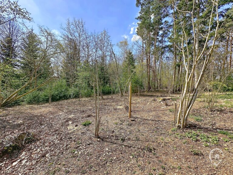 Condrogest - Terrain de 1.695 m² pour chalet / investissement locatif – Erezée