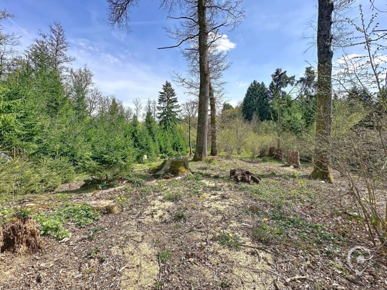 Condrogest - Terrain de 1.695 m² pour chalet / investissement locatif – Erezée