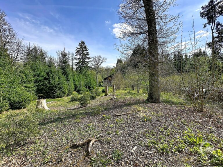 Condrogest - Terrain de 1.695 m² pour chalet / investissement locatif – Erezée