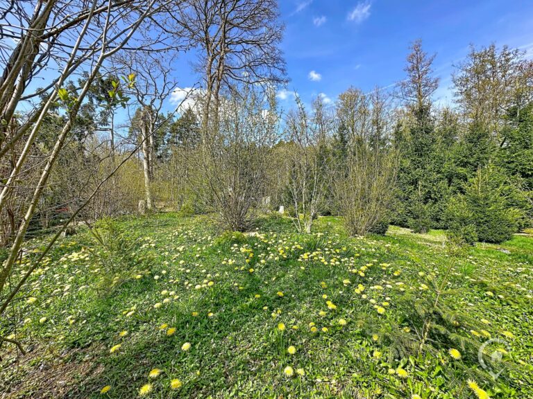 Condrogest - Terrain de 1.695 m² pour chalet / investissement locatif – Erezée