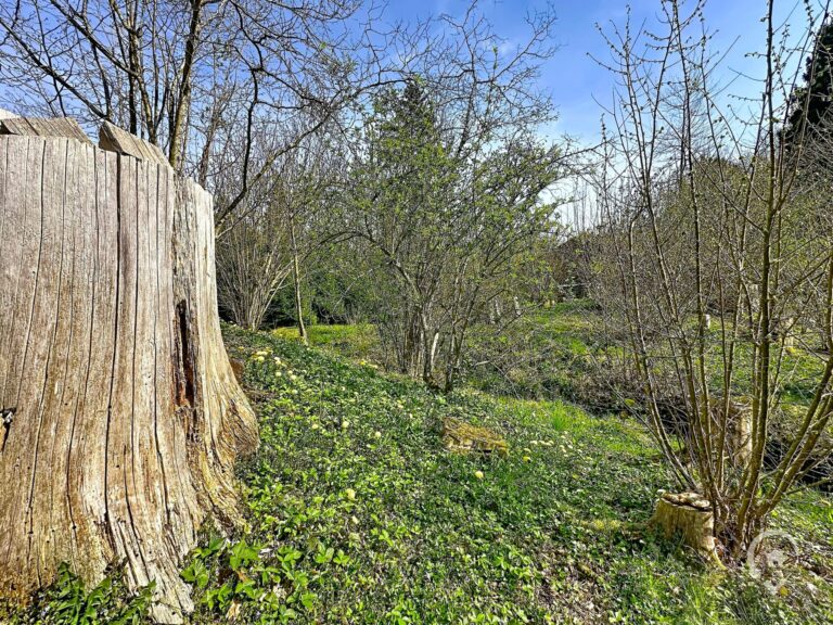 Condrogest - Terrain de 1.695 m² pour chalet / investissement locatif – Erezée