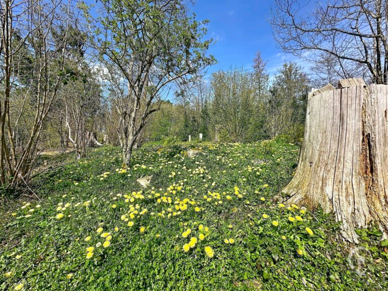 Condrogest - Terrain de 1.695 m² pour chalet / investissement locatif – Erezée