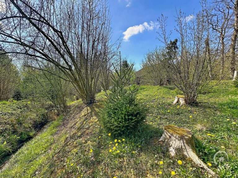 Condrogest - Terrain de 1.695 m² pour chalet / investissement locatif – Erezée