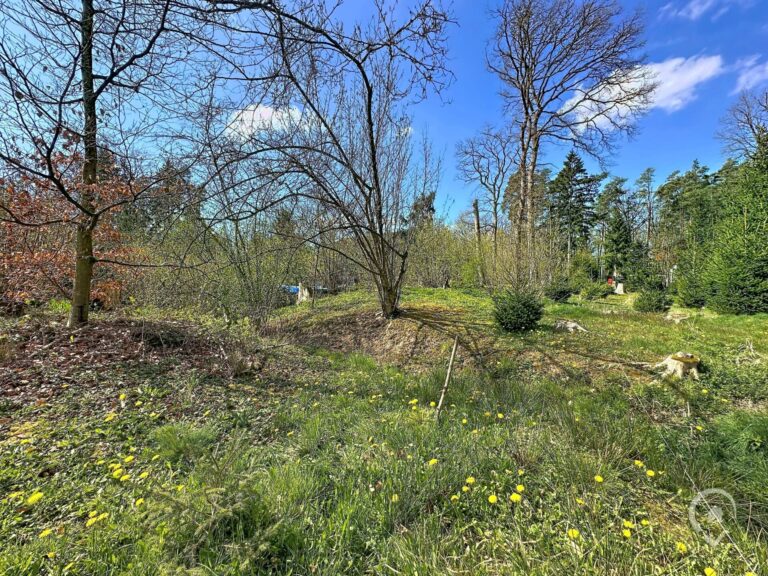 Condrogest - Terrain de 1.695 m² pour chalet / investissement locatif – Erezée