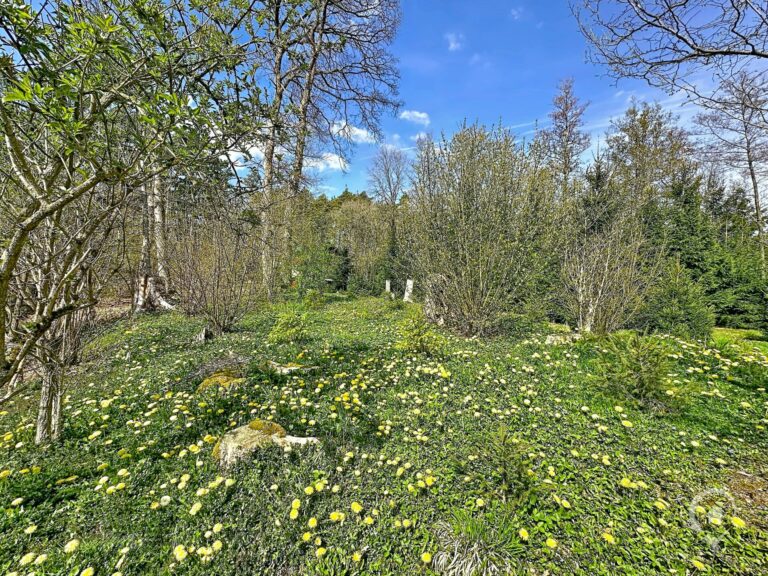 Condrogest - Terrain de 1.695 m² pour chalet / investissement locatif – Erezée